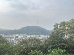 -佛山华盖山公园