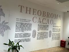 -南京路步行街