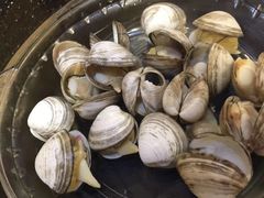 -鲜鲜·鲅鱼圈海鲜(于洪店)