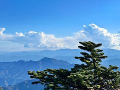 -朱雀国家森林公园