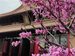 -苏州文庙(姑苏区)