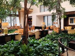 -丽思卡尔顿酒店泳池(金融街店)