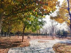 -东郊湿地公园