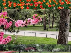 -国家植物园