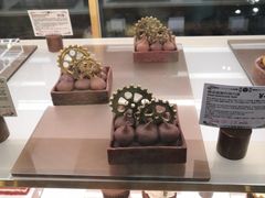 -酷巧·巧克力糖果店