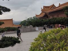 -深圳仙湖植物园