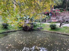 -桃花涧