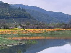 -径山花海