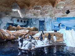 -海合安青岛极地海洋公园