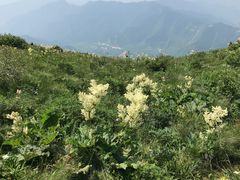 -白草畔自然风景区