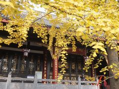 -古大圣慈寺