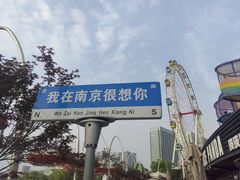 -老金陵·李氏鸭血粉丝汤(夫子庙店)