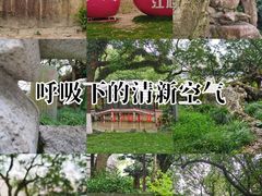 -江心屿景区