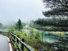 -武陵山森林公园