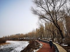 -丁香湖公园