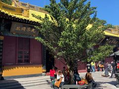 -普陀山慧济禅寺