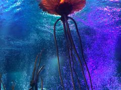 -沈阳海洋探索中心