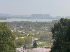 -苏州上方山国家森林公园