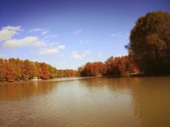 -上海海湾国家森林公园