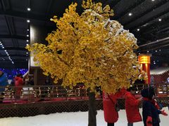 -宁波冰雪大世界(北仑区)