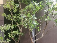 -阿瓦山寨·湘菜现炒·剁椒鱼头王(咸阳总店)