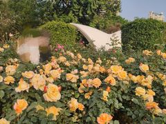 -人民公园(罗湖区)