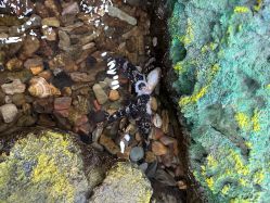 -钓虾工场·钓虾·赶海(回龙观店)