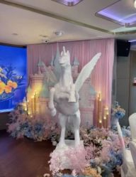 -Doris一站式游轮婚礼船东直营店(外滩店)