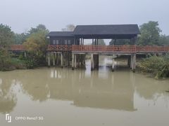 -中国扬子鳄村