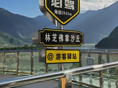 -佛掌沙丘