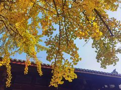 -古大圣慈寺