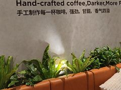 -Peet's 皮爷咖啡(深圳湾万象城店)