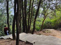 -火炉山森林公园