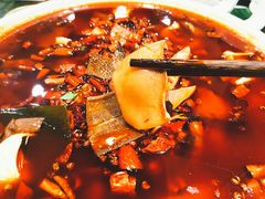 -庆合府重庆大排档(紫都城店)