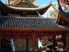 -上海东林寺(金山区)