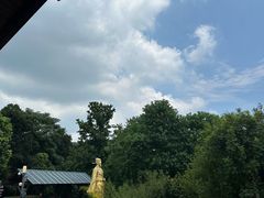 -南京老山国家森林公园
