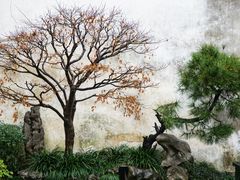 -艺圃