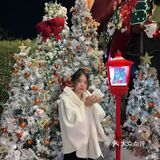 圣诞浓度100%｜免fei拍照，每天下雪❄️