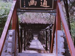 -晋祠公园