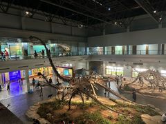 -自贡恐龙博物馆