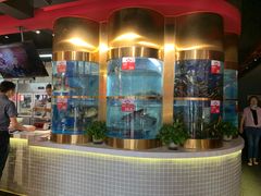 -蜀滋香鲜鱼美蛙火锅(339店)