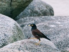 -巴拉湾海滩