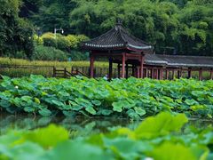 -龙头寺公园