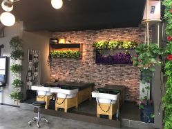 -HD HAIR STYLE