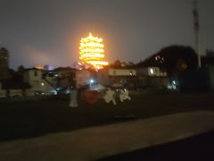 -蔡林记(珞狮南路店)