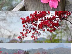 -岳西天峡风景区