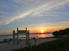 -宝安西湾红树林湿地公园