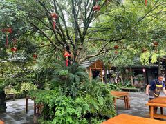 -青城甲(青城山店)