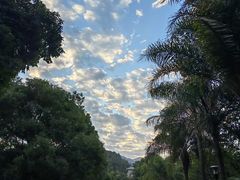 -福建鲤鱼洲酒店