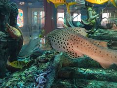 -石林冰雪海洋世界